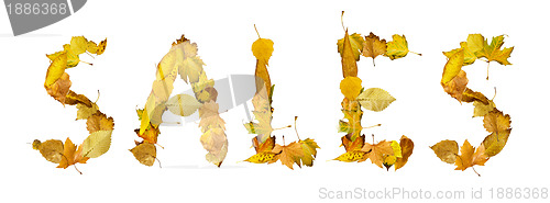 Image of Text Sales made of autumn leaves.