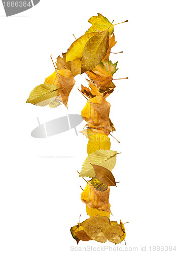 Image of Number One made of autumn leaves.