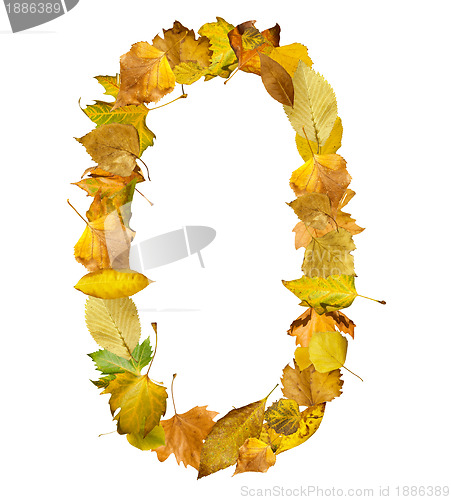 Image of Number zero made of autumn leaves.