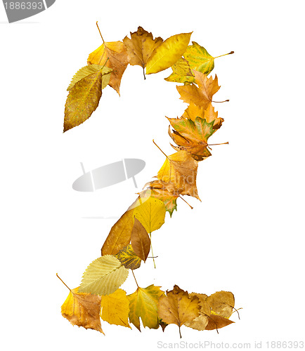 Image of Number Two made of autumn leaves.