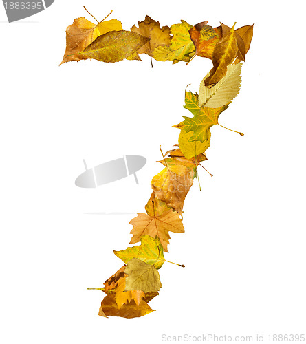 Image of Number seven made of autumn leaves.