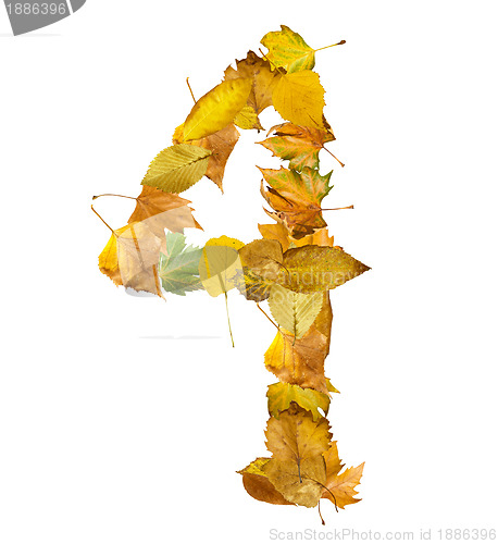 Image of Number four made of autumn leaves.