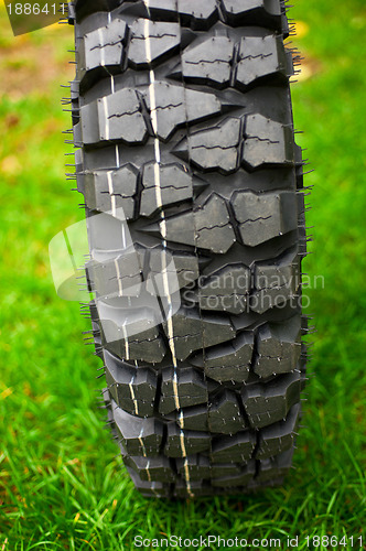 Image of Tire at green grass