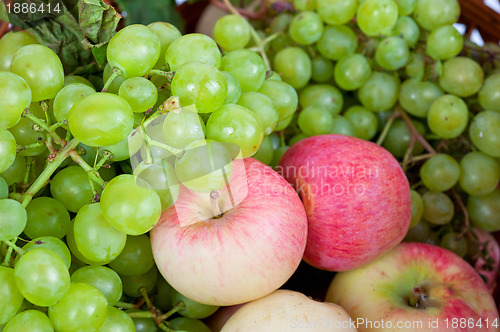Image of apples and grapes