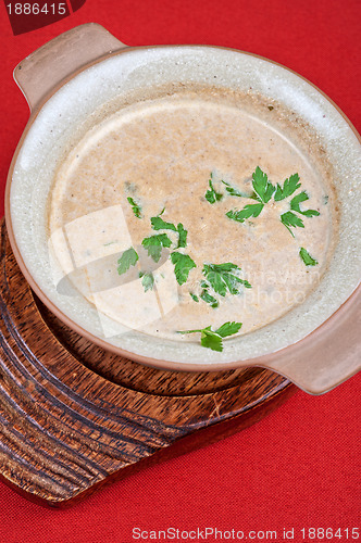 Image of Mushroom cream  soup
