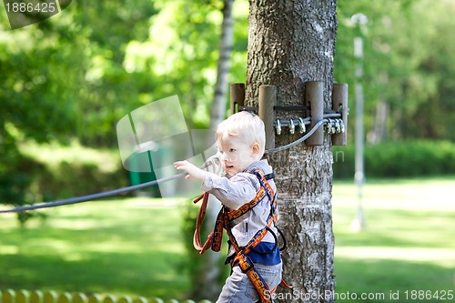 Image of little boy at a canopy tour