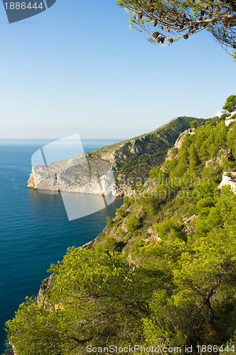 Image of Pine forested coast