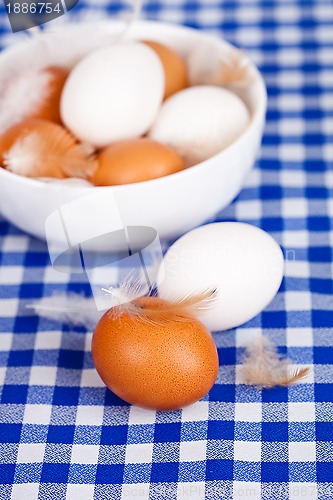 Image of eggs and feathers