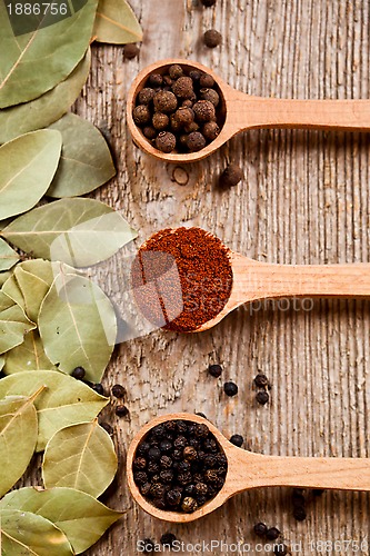 Image of three kinds of pepper and bay leaves