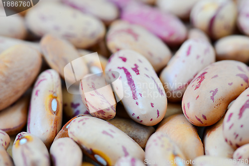 Image of Close-up dry white beans on natural light