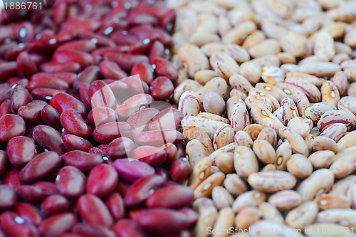 Image of Close-up dry white and red beans on natural light