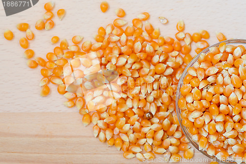 Image of Corn for popcorn