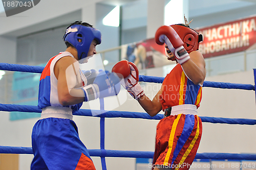 Image of Boxing among Juniors