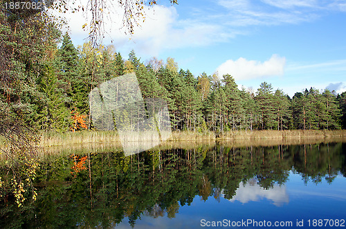 Image of Reflection on water
