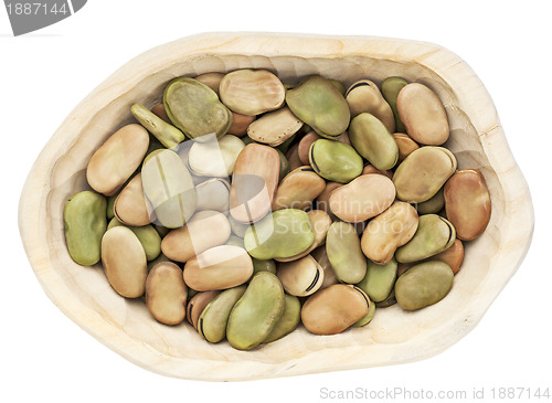 Image of fava (broad) bean