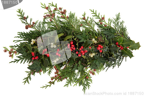 Image of Holly, Ivy, Mistletoe and Cedar Leaves