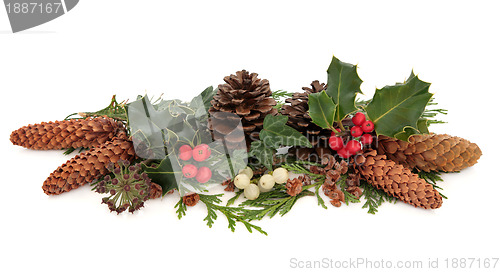 Image of Winter Flora and Fauna