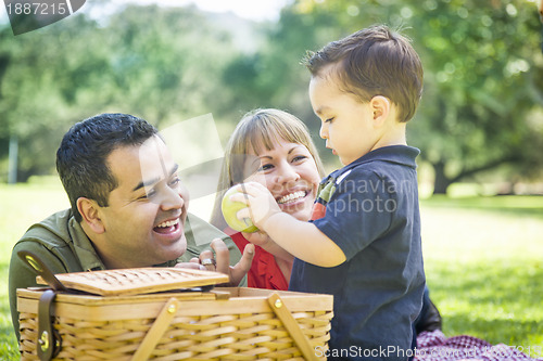 Image of Mixed Race Family Enjoy a Picnic At The Park