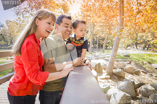 Image of Mixed Race Family Enjoy a Day at The Park