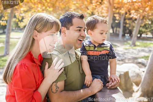 Image of Mixed Race Family Enjoy a Day at The Park