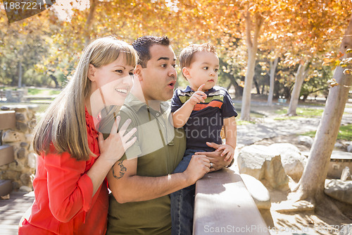 Image of Mixed Race Family Enjoy a Day at The Park