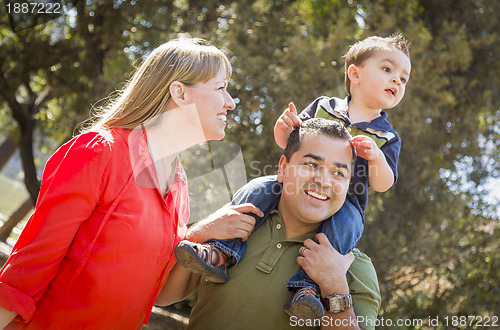 Image of Mixed Race Family Enjoy a Walk in the Park