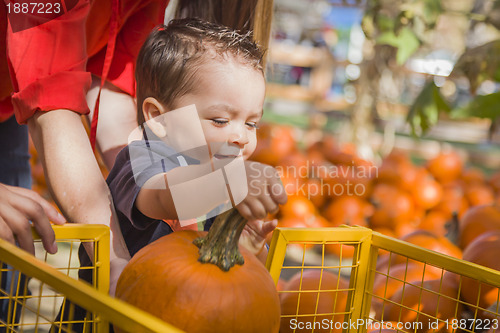 Image of Happy Mixed Race Family at the Pumpkin Patch