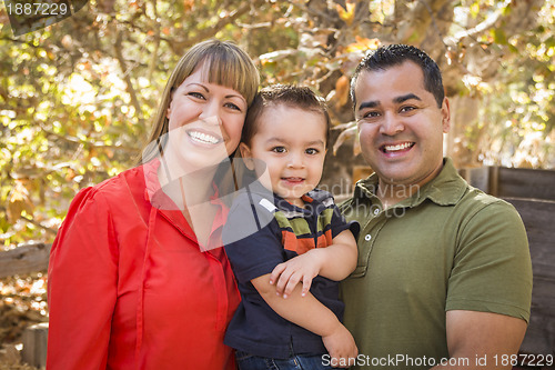 Image of Happy Mixed Race Family Posing for A Portrait