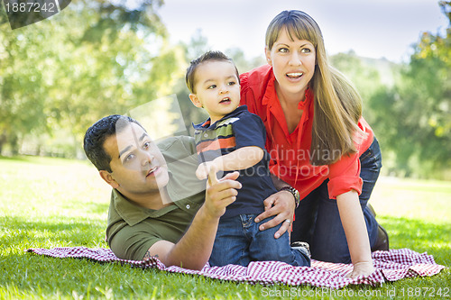 Image of Mixed Race Family Enjoy a Day at The Park