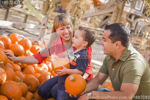 Image of Happy Mixed Race Family at the Pumpkin Patch