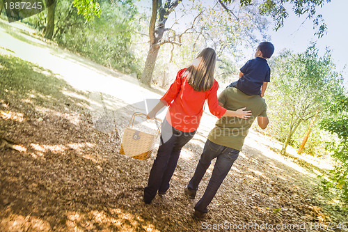 Image of Mixed Race Family Enjoy a Walk in the Park