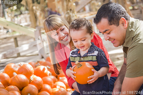 Image of Happy Mixed Race Family at the Pumpkin Patch