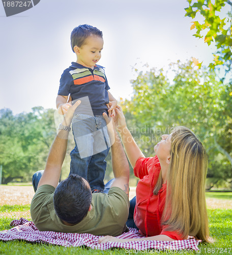 Image of Mixed Race Family Enjoy a Day at The Park
