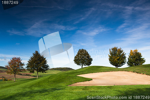 Image of On the golf course