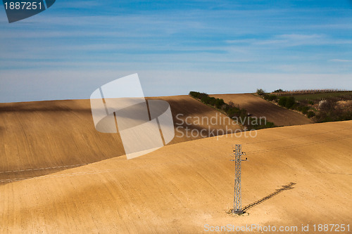 Image of Landscape in the wine region 