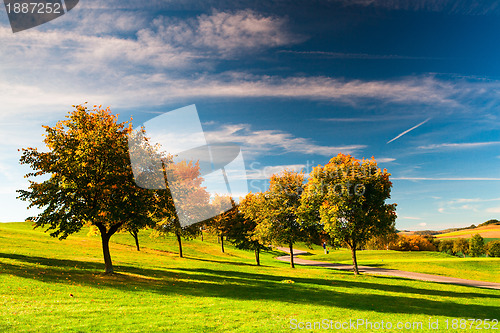 Image of On the golf course