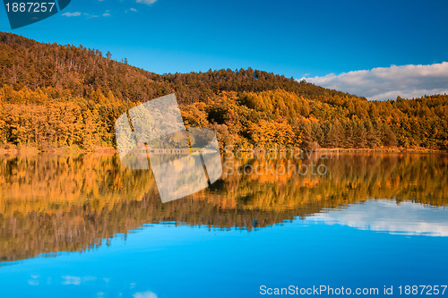 Image of Symmetry reflection 