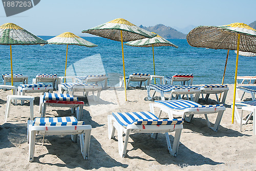 Image of Loungers and umbrellas on beach