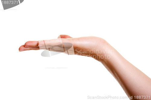 Image of Woman's hand, palm up