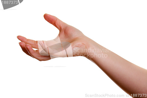 Image of Woman's hand clutched