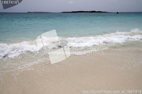 Image of Weaves Crashing on Beach