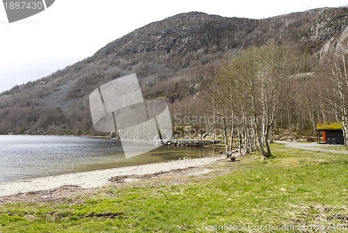 Image of trees with grassland and mountains