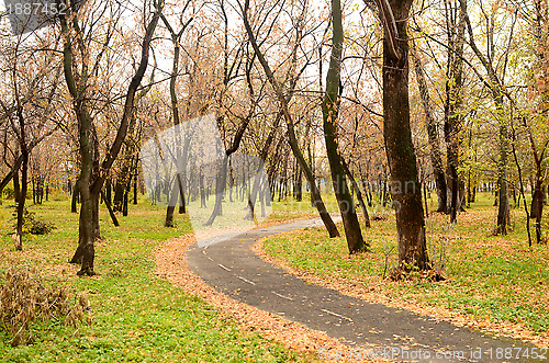 Image of autumn park