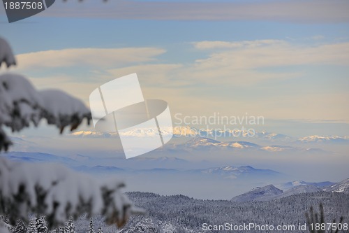 Image of winter landscape