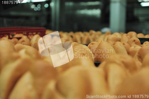 Image of bread factory production