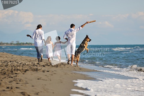 Image of happy family playing with dog on beach