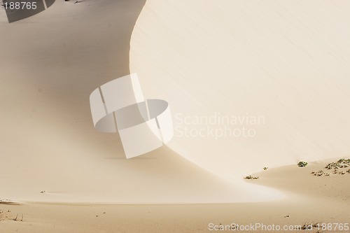 Image of Dunes #2