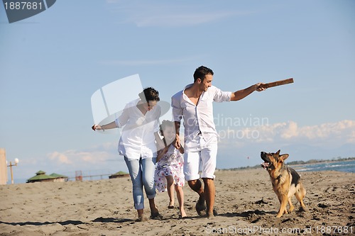 Image of happy family playing with dog on beach