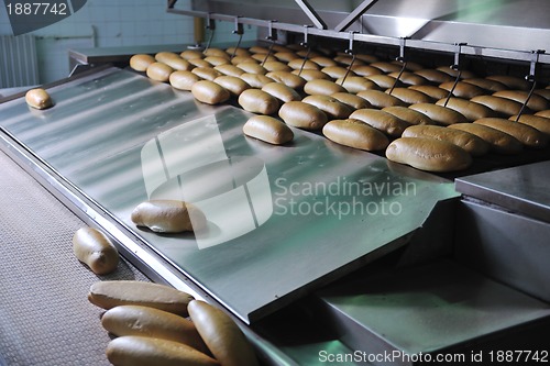 Image of bread factory production