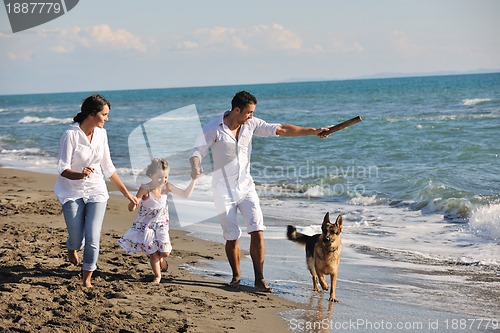 Image of happy family playing with dog on beach